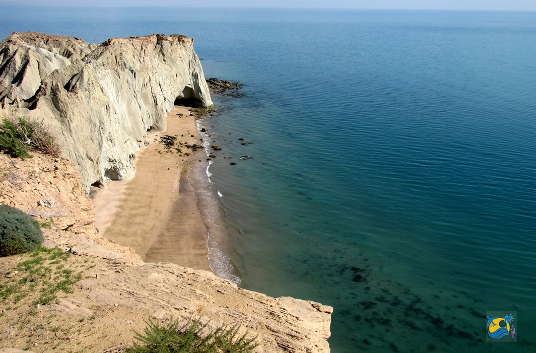 ساحل لاکپشتهای قشم: بهشت کوچک برای حیاتوحش خلیج فارس